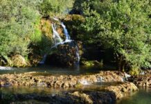 The Sultan and the Pilgrimage to Mecca