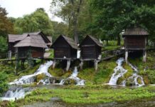 The Sultan’s Photography Mystery