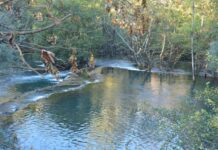 Historical Background