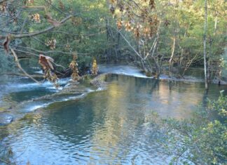 Historical Background