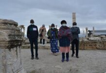 Museum Record and Comparative Examples